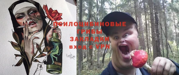 молекула духа Алексин