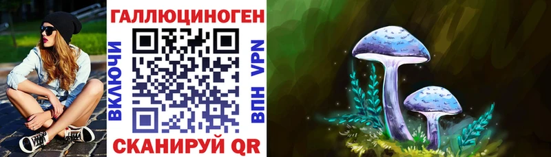 Псилоцибиновые грибы ЛСД  Купить  Болхов 